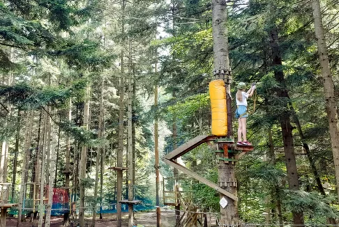park linowy